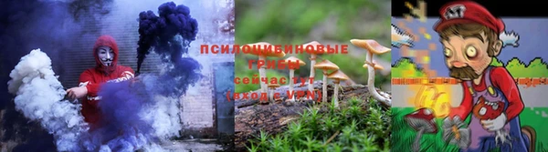 шишки Алексин
