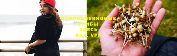 таблы Алексеевка