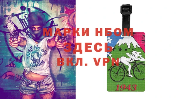 шишки Алексин