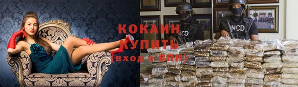 индика Кулебаки