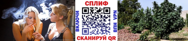 МАРИХУАНА семена  Аксай 